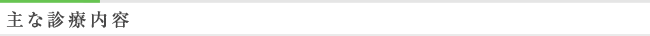 主な診療内容
